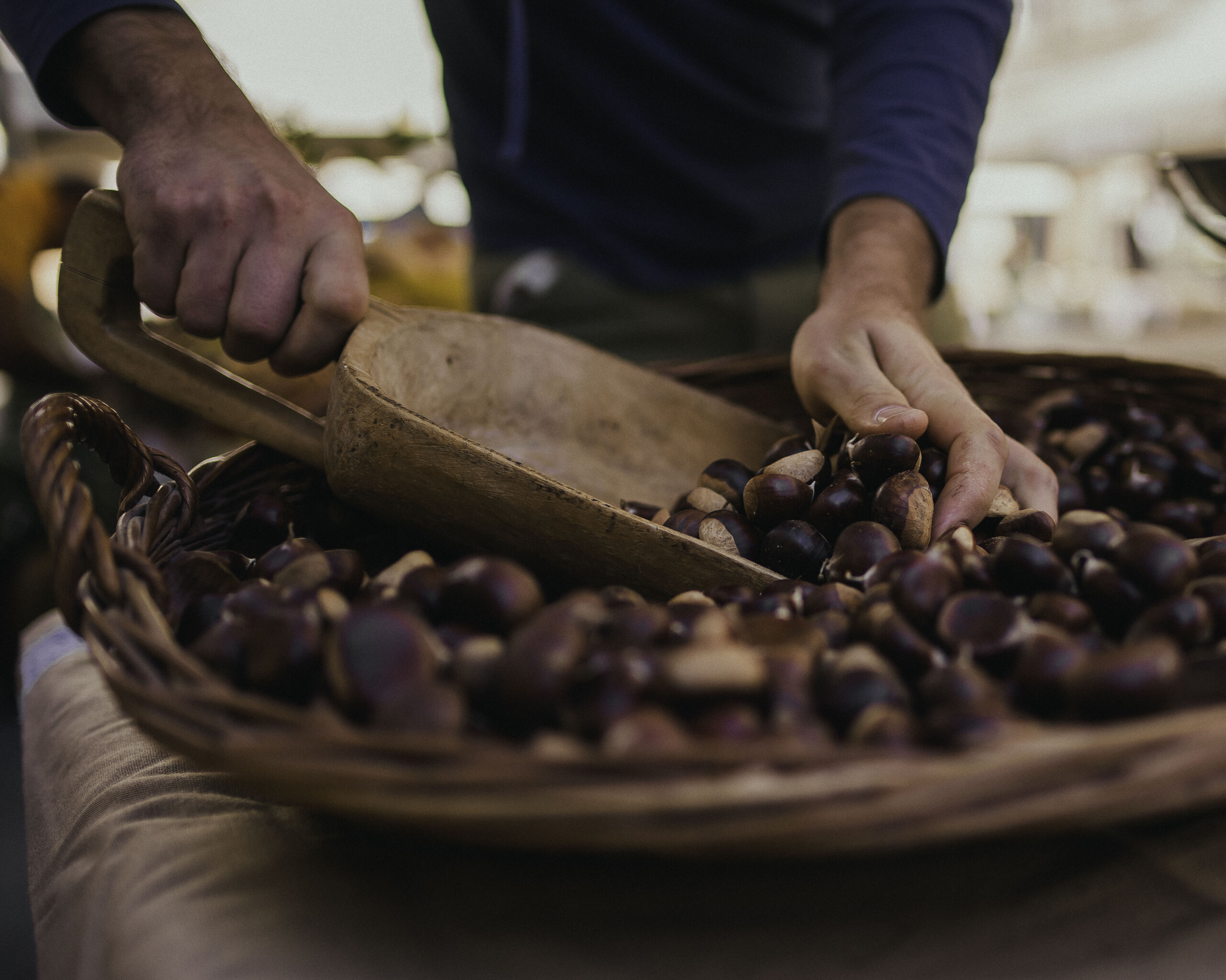 Castagne produttore